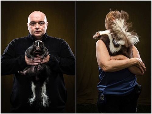 4-Skunk-pets-by-Vincent-J-Musi-600x449.jpg