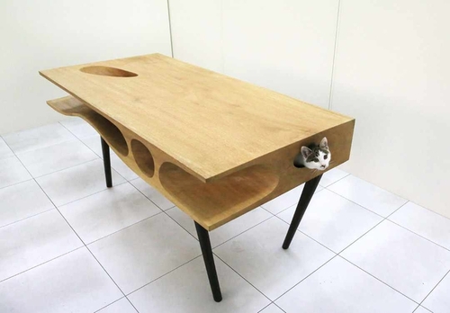 catable.jpg.662x0_q100_crop-scale.jpg