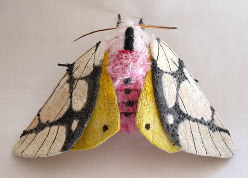 yumi-okita-moths-06.jpg