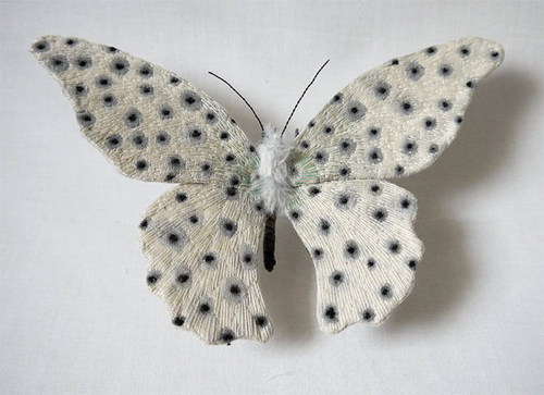 yumi-okita-moths-11.jpg