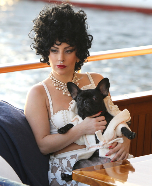FFN_Lady_Gaga_STLA_100114_51546961.jpg