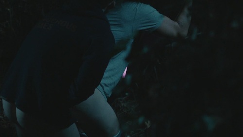 Looking.S02E01.Looking.for.the.Promised.Land.720p.HDTV.x264-KILLERS__033043_05-39-33_.JPG