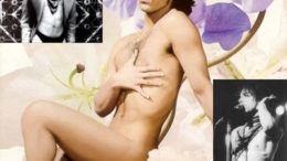 prince-collage.jpg
