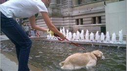 dog-fountain.jpg