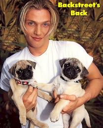 nick-carter-pugs.jpg