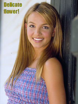 britney-spears-delicate.png