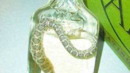 rattlesnake-vodka.jpg