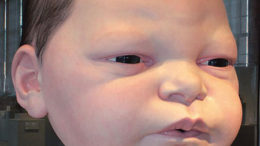 mueck_baby_head-thumb.jpg