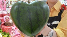 melonheart-thumb.jpg
