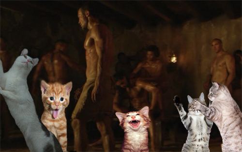 kittensspartans-thumb-500x314-2161.jpg