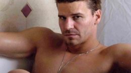 boreanaz2-thumb-500x391-2397.jpg