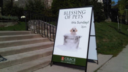 pet-blessings-thumb-500x375-5650.jpg