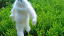 Yeti-thumb-500x375-5727.jpg