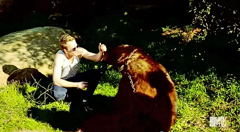 neil-patrick-harris-and-bear.jpg