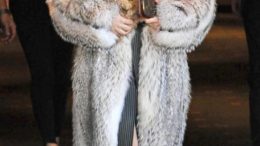lady-gaga-fur_582x951-thumb-500x817-7788.jpg