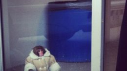 ikea_monkey-thumb-500x500-8857.jpg
