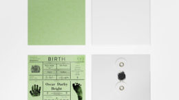 Dezeen_Birth-certificates-by-IWANT-for-Icon-magazine_3sq-thumb-500x500-11590.jpg