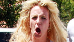 britney-spears-crazy-screaming-chaotic-thumb-500x335-13608.jpg
