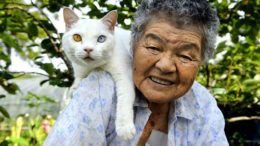 grandma-odd-cat-01-thumb-500x333-15258.jpg