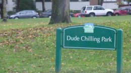dude_chilling-thumb-500x333-17178.jpg