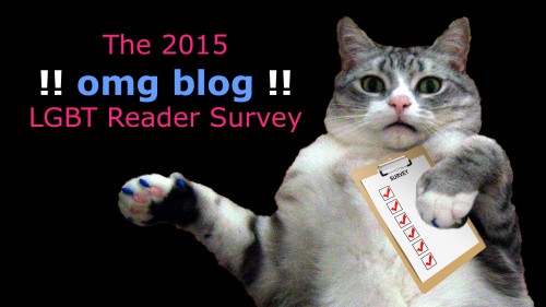 2015-lgbt-reader-survey