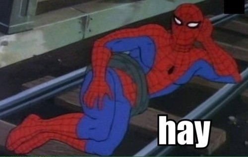 1312885389t-gay spiderman