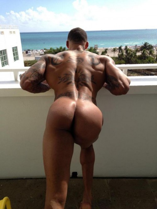 mcintosh_david4