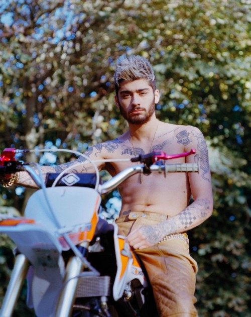 zayn3-812x1024