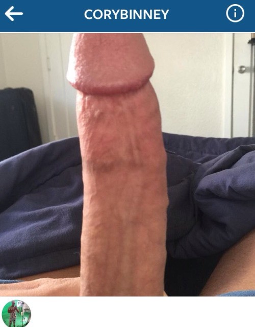 tumblr_ny8ranaAMW1ujnlrqo6_500