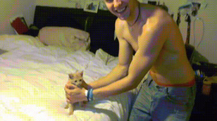 Kitten cries for shirtless owner