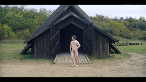 Jack Reynor nude in Midsommar