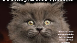 Social Justice Kittens calendar