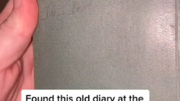 Thrift Shop Diary on TikTok