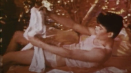 pink narcissus undressing