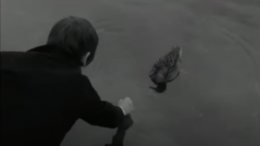 London woman and her pet duck